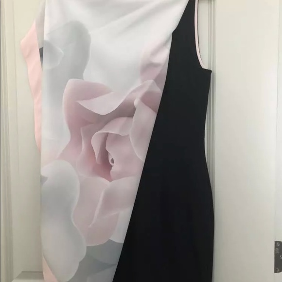 **SOLD** Ted Baker Formal Dress - Picture 3 of 4
